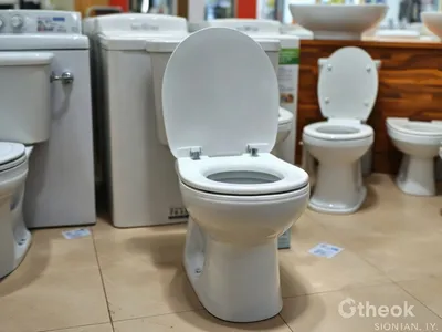 WC complet avec réservoir et abattant · Libreville