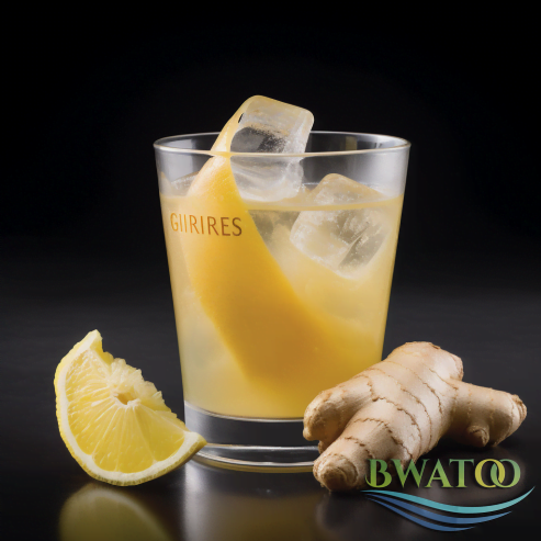Ginger Bliss: The Ultimate Refreshing Elixir