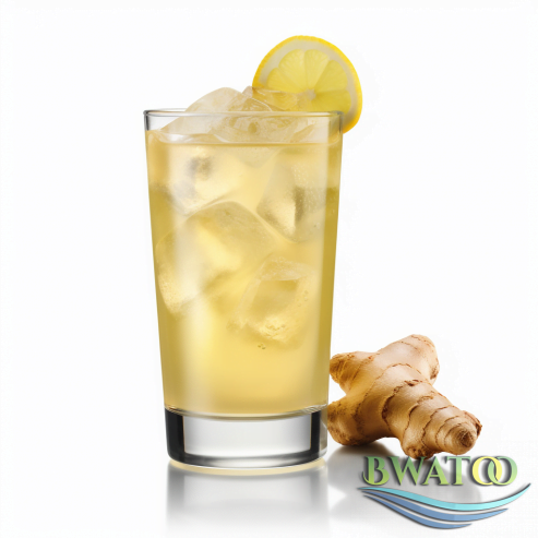 Ginger Bliss: The Ultimate Refreshing Elixir